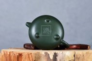 《鹦鹉茶宠》