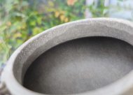 燮龙拱璧