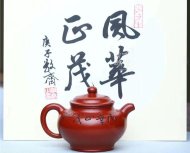 《风华正茂》