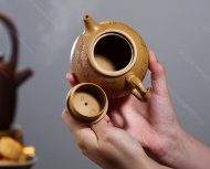 龙吟天下
