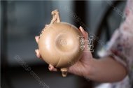 《多子多福》