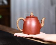 《一叶一菩提》