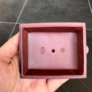 紫气东来