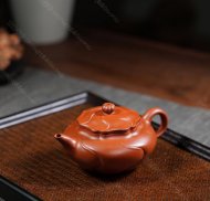 风卷葵