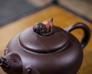 《福猪》