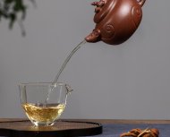 鼠来宝