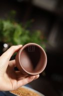 《蜗居杯》