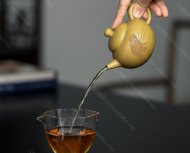 巨轮珠