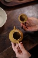 《高潘壶》
