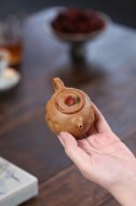 《灵芝供春》宜兴紫砂壶民间艺人全手工段泥粉饰朱泥浆供春泡茶壶茶具