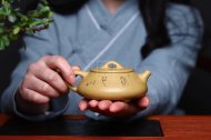 《石瓢》石瓢宜兴紫砂壶纯手工工艺美术师茶壶稀有本山绿泥