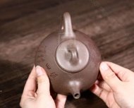 《石瓢纵横四海》