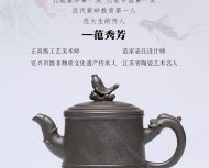 鱼龙百变