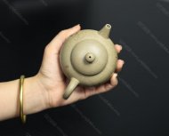 巨轮珠