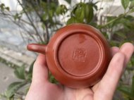 龙蛋