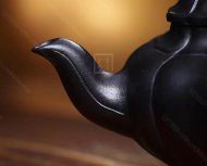 《筋纹笑樱》