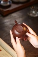 《梵莲笑樱》