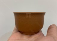 《落日杯1》