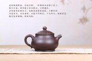 《潘壶》
