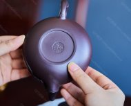 扁樱竹