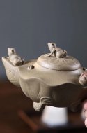 《荷叶青蛙》