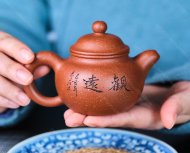 掇球