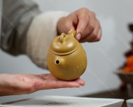 憨壶