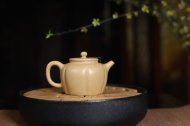 《菊蕾》宜兴紫砂壶助理工艺美术师手工标本级本山段泥泡茶壶菊蕾茶具