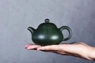 《鹦鹉茶宠》