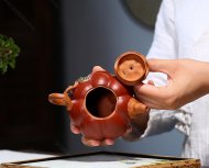 轻胚南瓜壶