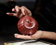 筋纹石瓢