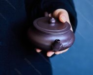 扁樱竹