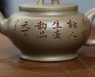 饮龙