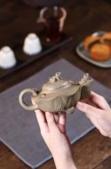 《荷叶青蛙》