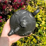 鱼化龙
