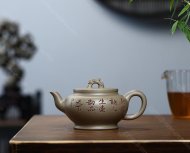 饮龙