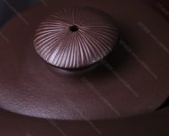 牛气冲天唐羽
