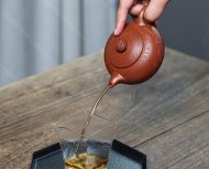 龙珠