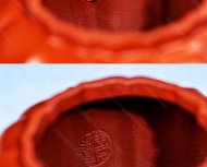 筋纹狮球