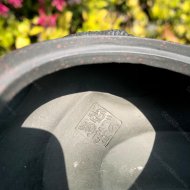 鱼化龙