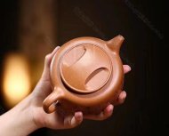 《景舟牛盖》