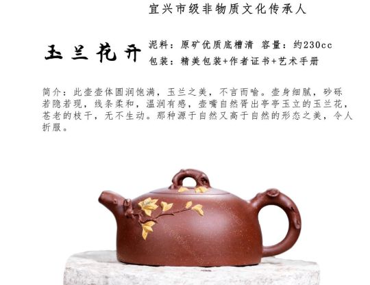 玉兰花开