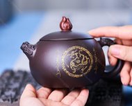 金龙西施