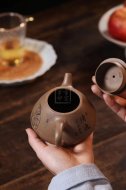 《石瓢》宜兴紫砂壶实力派名家原矿石瓢紫砂茶具青段壶