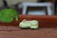 《蚕豆喷水青蛙》宜兴紫砂壶手工紫茶壶茶具