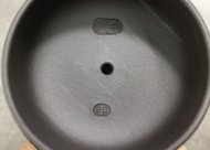 狮尊壶