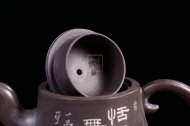 《狮韵曲壶》