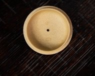 汉棠石瓢