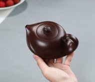 玉龟遐寿
