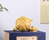 筋纹海棠